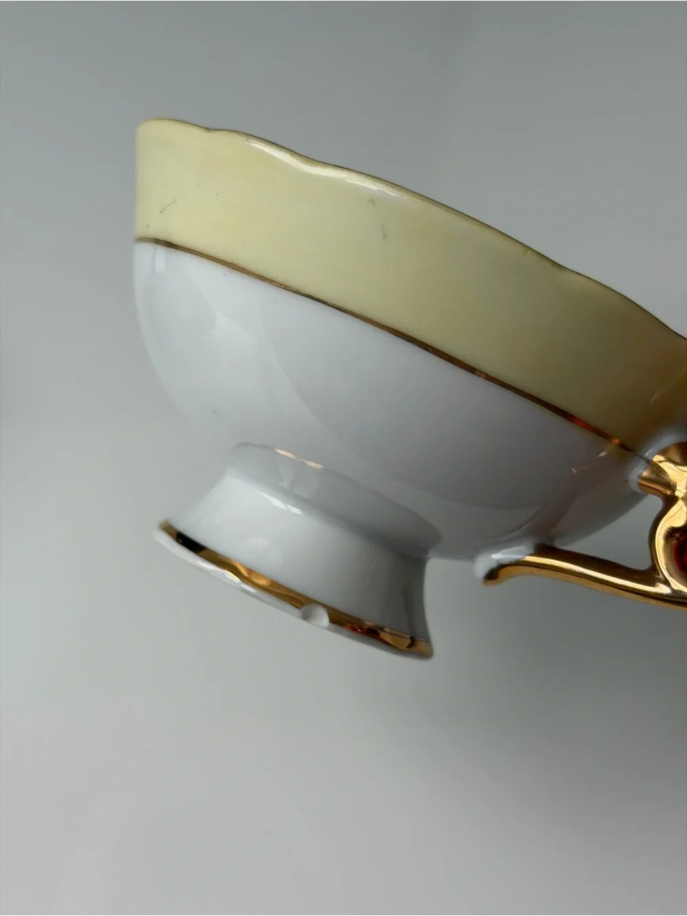 Japan Royal Sealy Vintage Porcelain Black & Gold Fruit Motif Teacup & Saucer Set